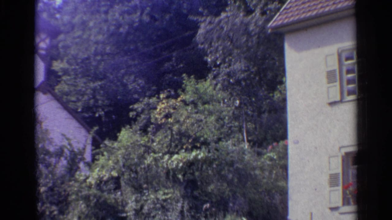 1961 German home-movie view of shrubs and trees, with a neighboring roof and part of a shuttered house visible.