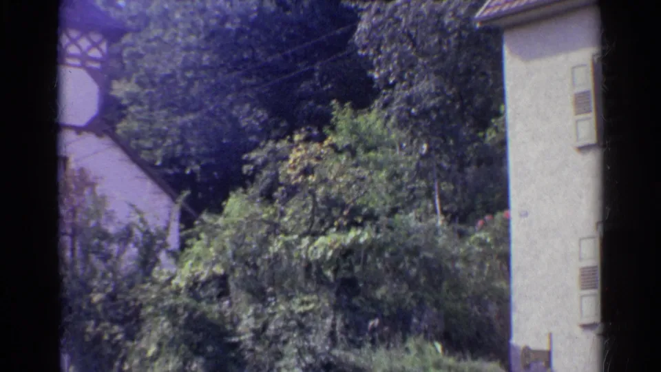 1961 German village exterior showing dense greenery, a partial shuttered house, and a roofline behind the trees.