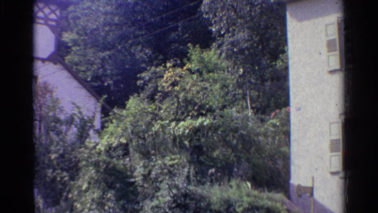 1961 Germany home-movie frame showing a pale residential building, leafy garden growth, and a street edge.