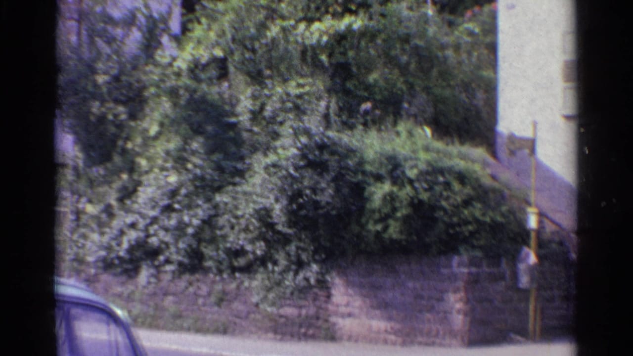 Stone wall and dense shrubs beside a pale building, with part of a car visible.