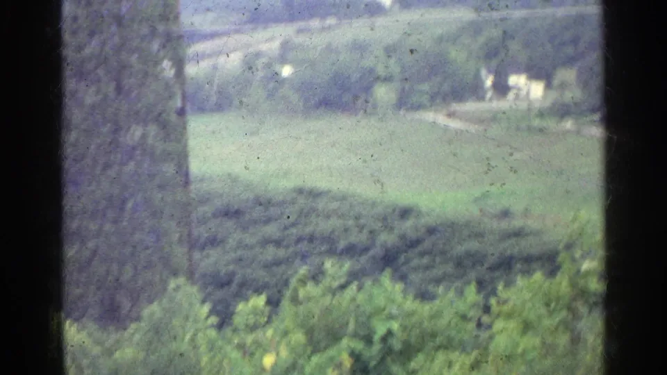 1961 Germany rural view partly blocked by a tree trunk, with fields, trees, distant buildings, and a road beyond.