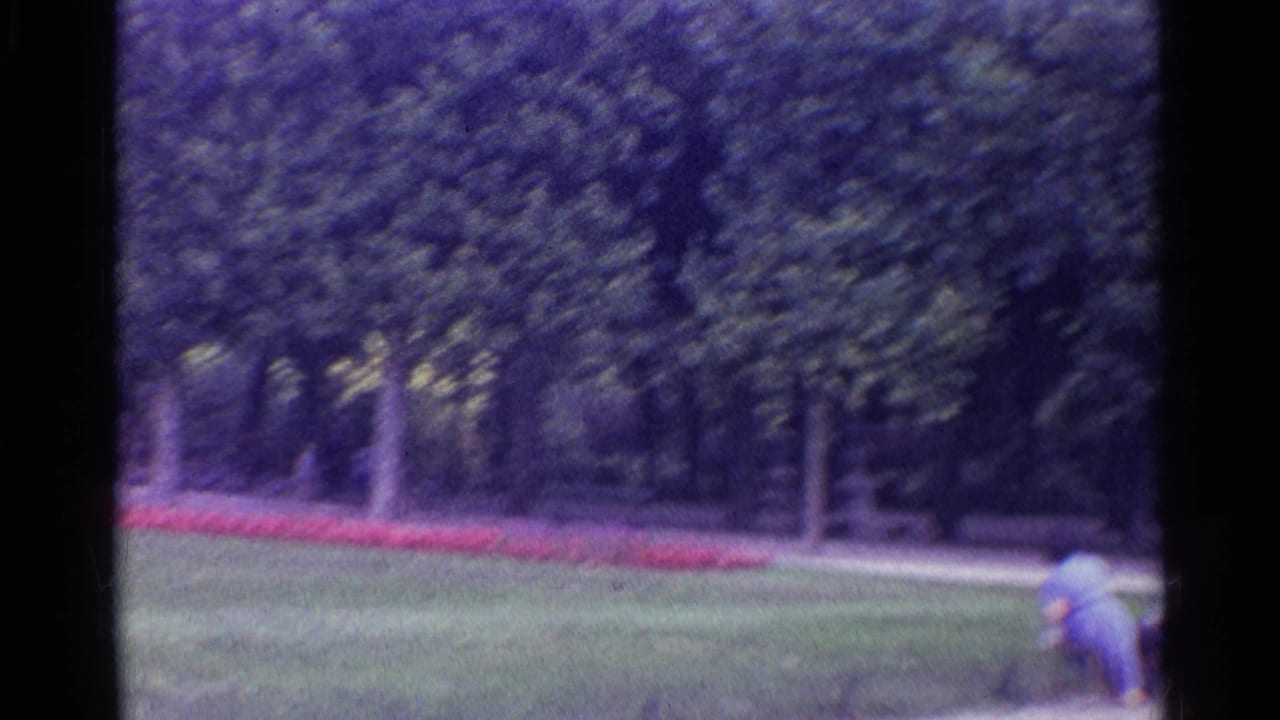 Park lawn, trees, red flowerbed, and a person near the right edge.