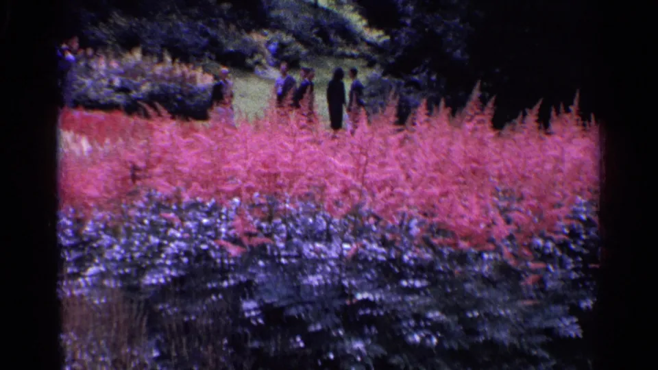 1961 Switzerland park scene with visitors near a path behind pink flower beds, dense shrubs, and dark tree cover.