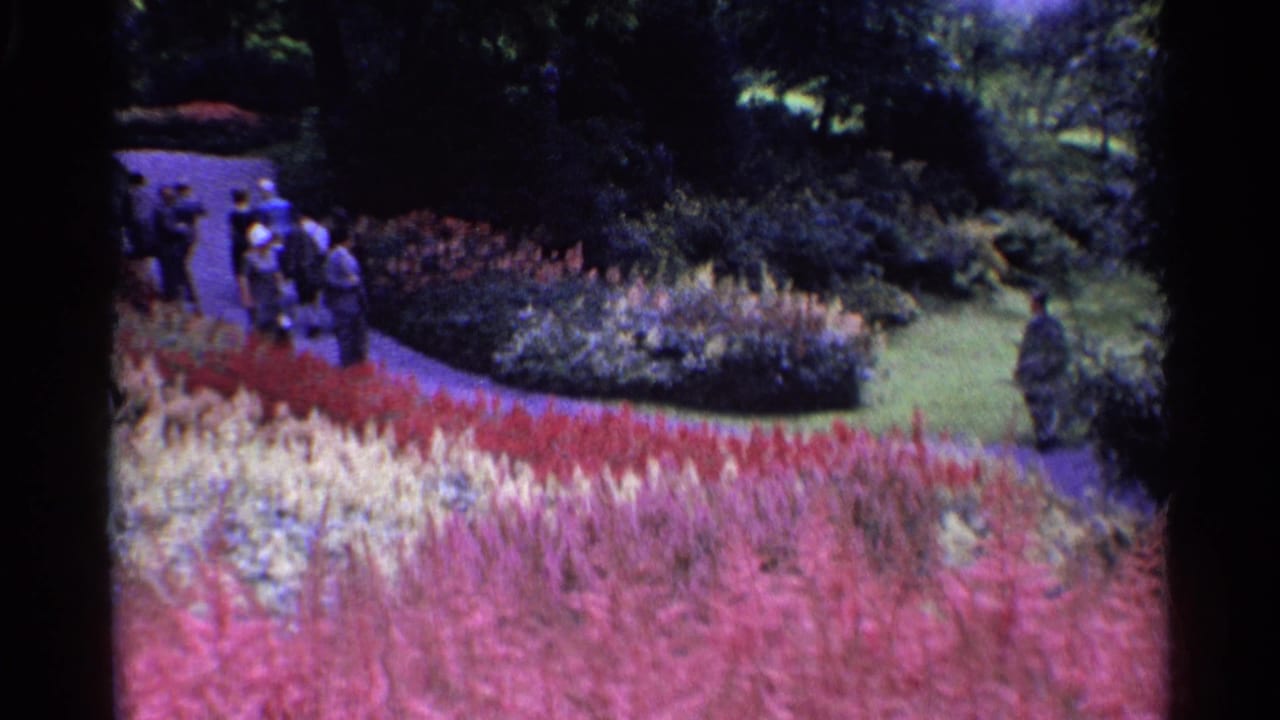 Distant visitors walk along a curved path through a Swiss park bordered by colorful flower beds.