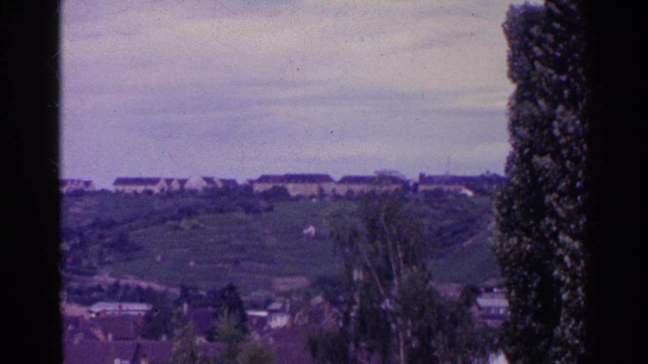1961 Swiss countryside view with hillside fields, clustered rooftops, a tall tree, and soft overcast light.