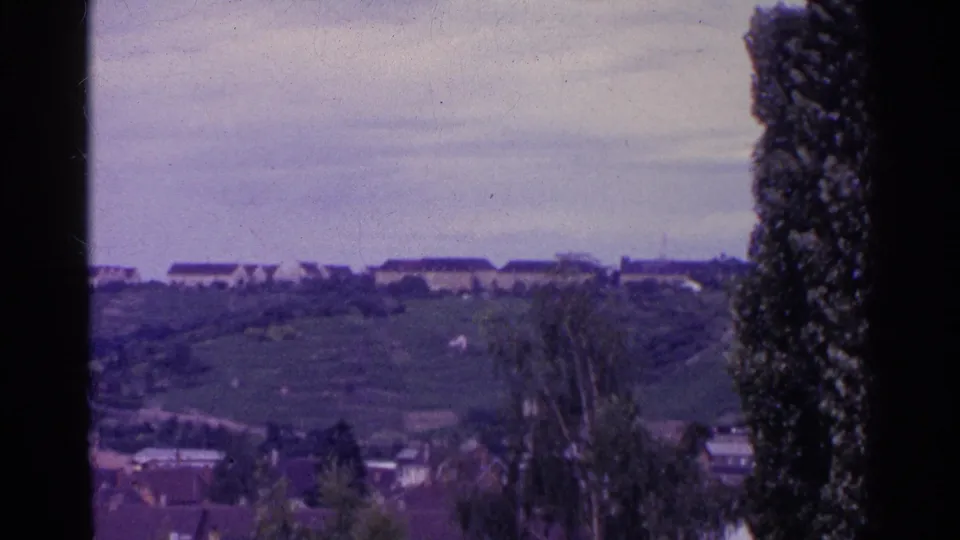 1961 Swiss countryside view with hillside fields, clustered rooftops, a tall tree, and soft overcast light.