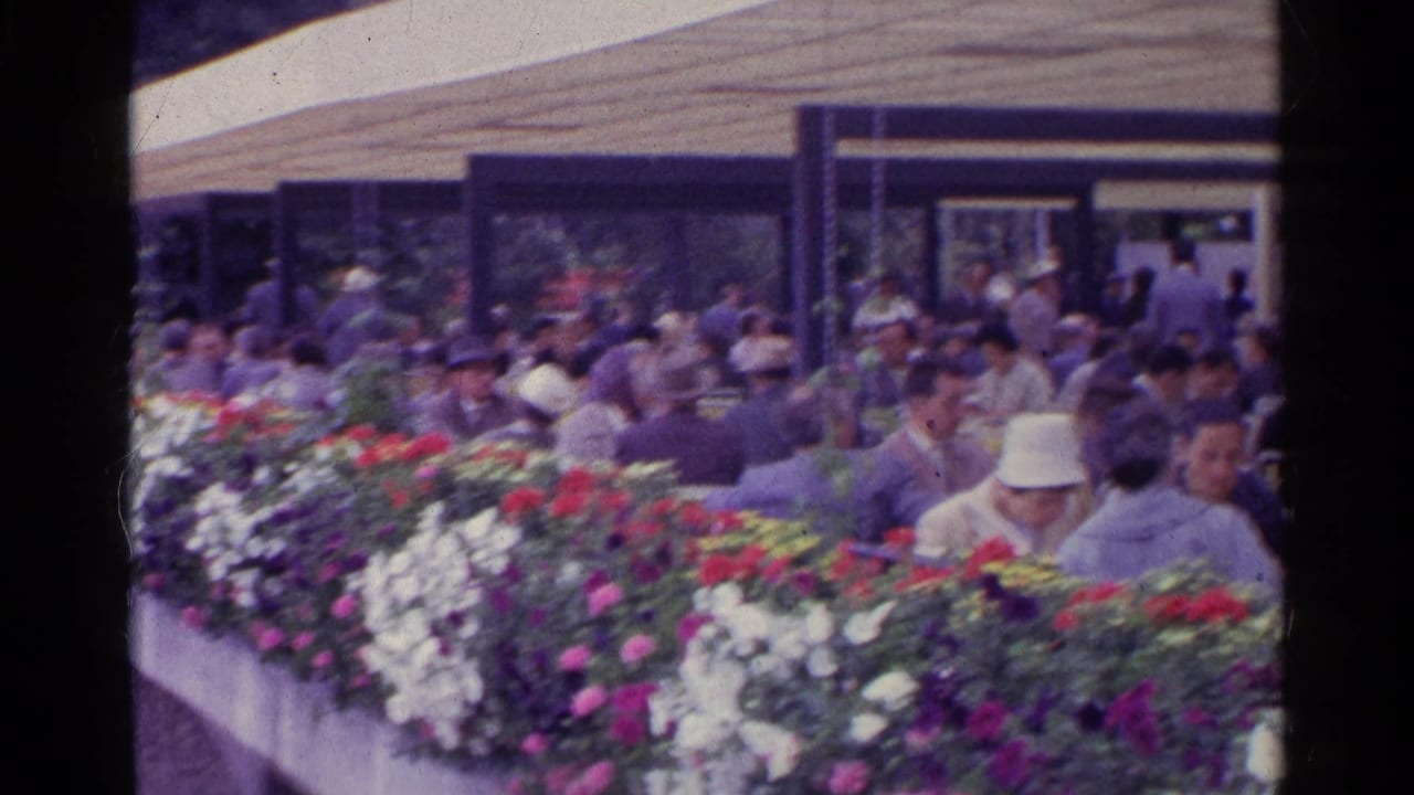1961 Swiss outdoor cafe scene with adults seated at terrace tables behind red, white, and purple flowers.