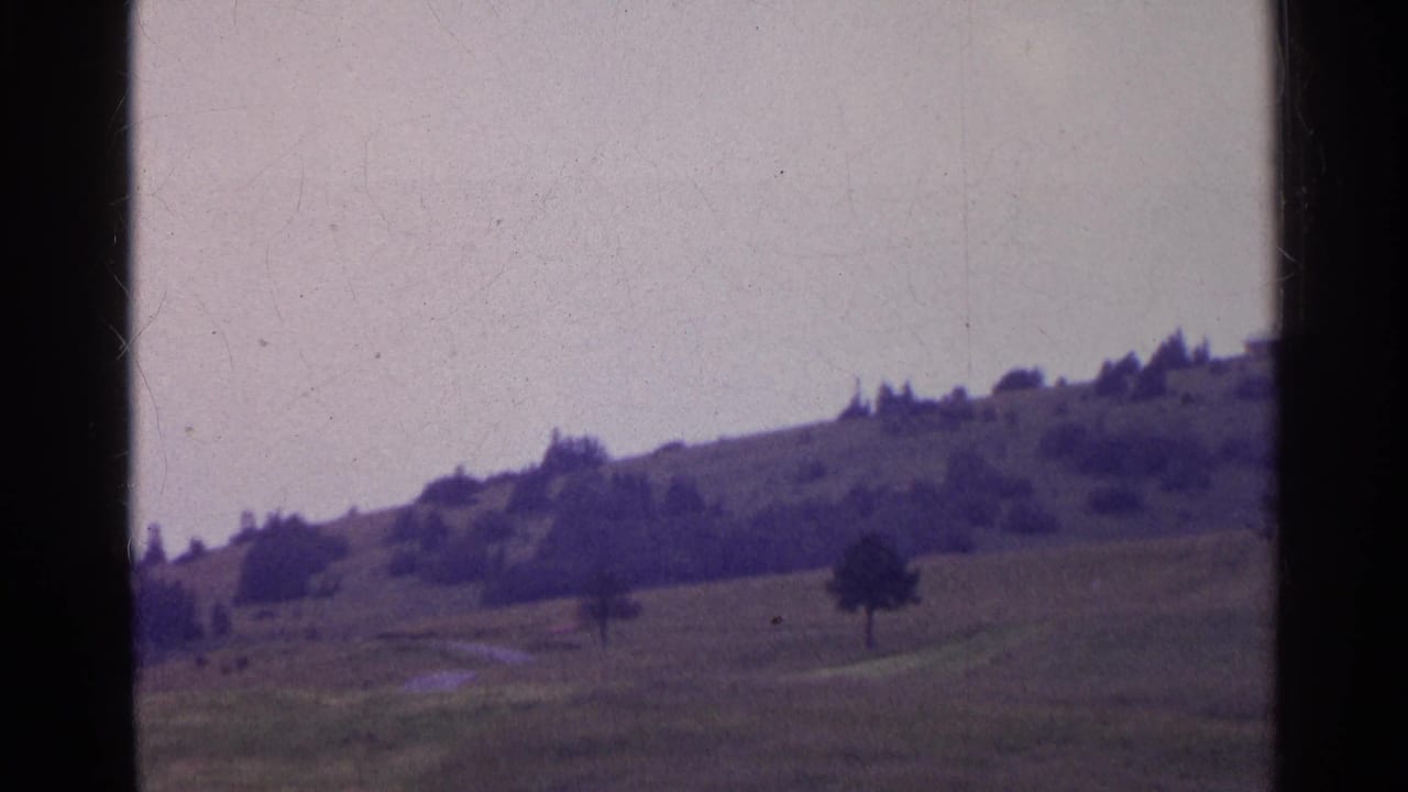 1961 Switzerland home-movie frame of rolling pasture, a lone tree, distant shrubs, and soft sky with visible film wear.