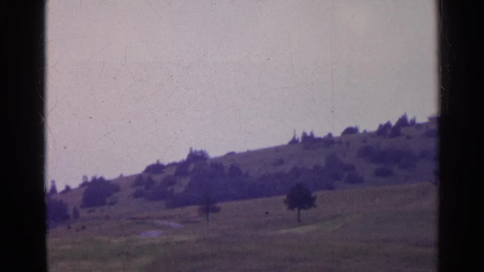 1961 Switzerland home-movie frame of rolling pasture, a lone tree, distant shrubs, and soft sky with visible film wear.