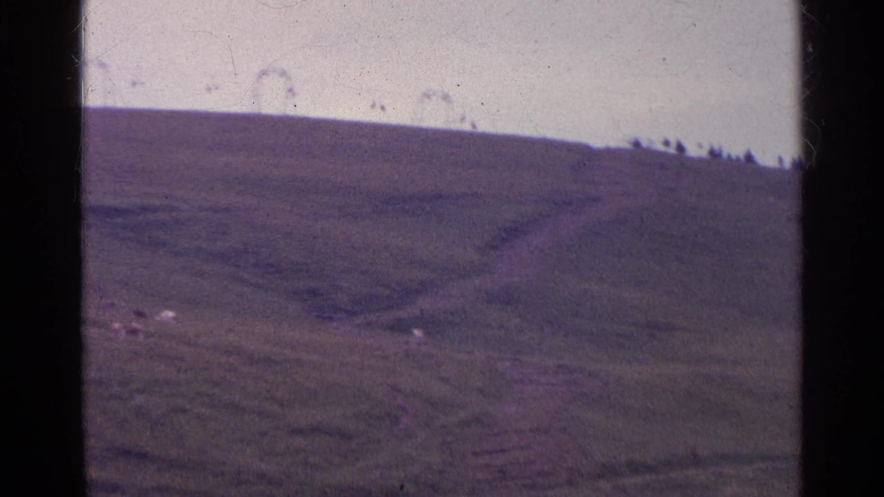 1961 Switzerland home-movie frame looking across a soft green hillside with a few sheep near the lower slope.