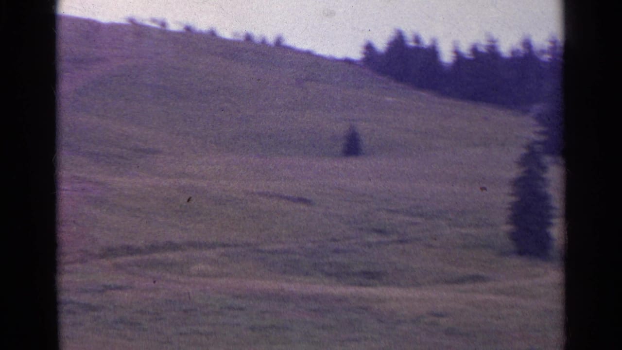 1961 Swiss rural landscape frame with an open sloping field, dark tree line, and a small haystack-like shape in the pasture.