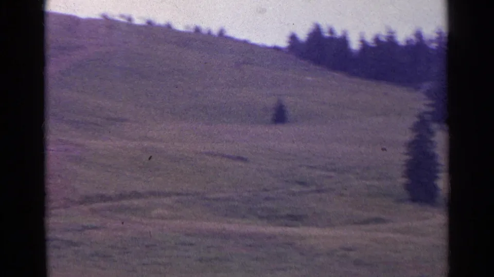 1961 Swiss rural landscape frame with an open sloping field, dark tree line, and a small haystack-like shape in the pasture.