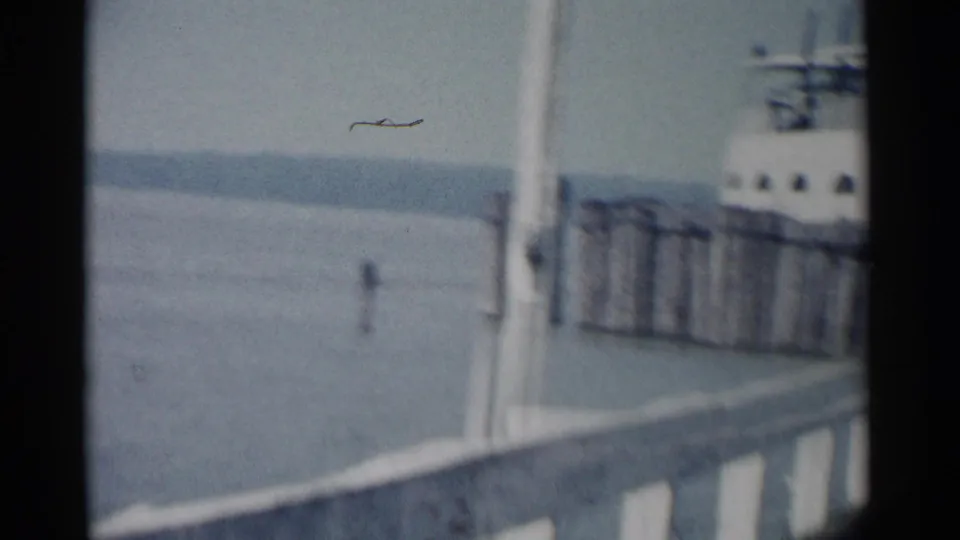A soft 8mm view at the Jamestown ferry landing shows water, pier railings, shoreline, and part of the ferryboat.