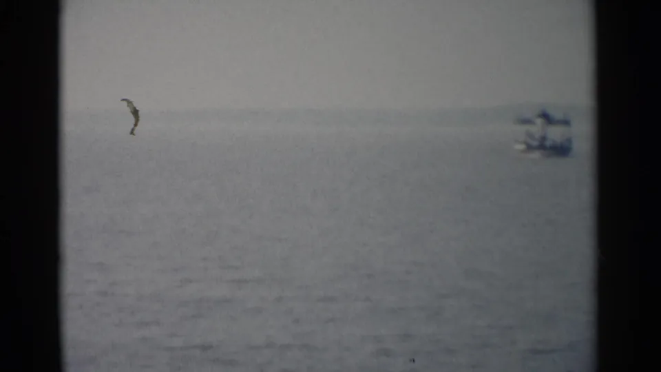 1962 Jamestown, Virginia frame with a bird crossing above calm water and a distant boat near the horizon.