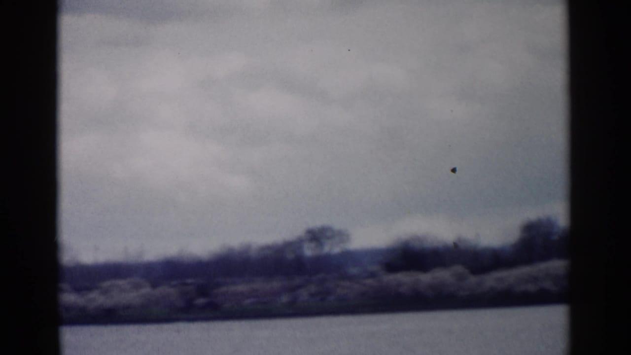 Waterfront trees and shoreline with a vertical dark frame edge near the center.