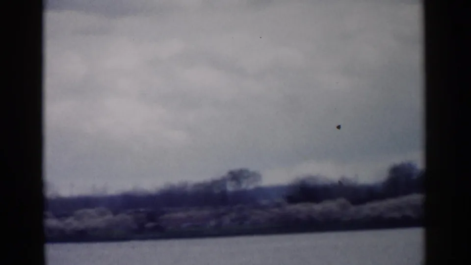 Soft 1962 home-movie view across Washington DC water toward trees and low shoreline, partially divided by a dark film edge.