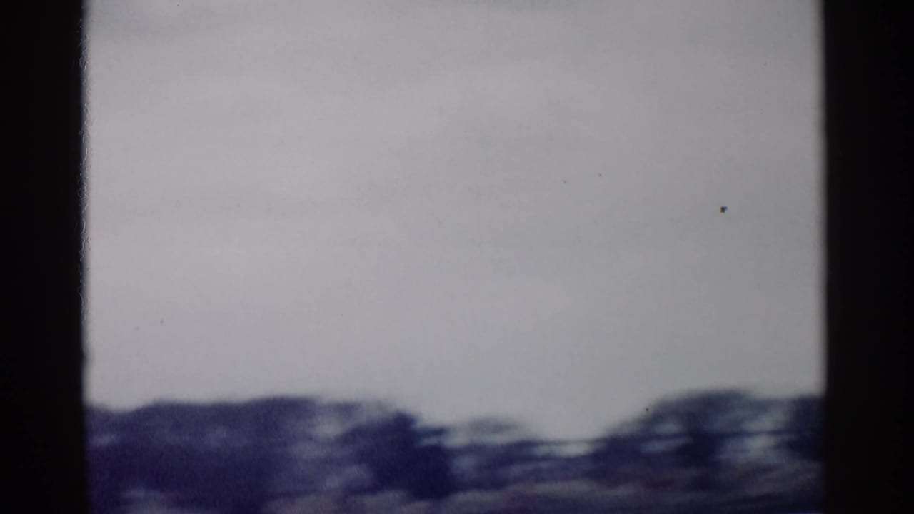 Blurred dark trees beneath a pale sky, divided by black vertical and horizontal film-frame edges.