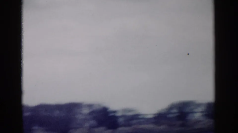 1962 8mm home-movie frame from Washington DC metadata showing blurred treetops and pale sky during a fast pan.