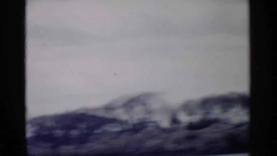 Washington DC 1962 8mm frame with motion-blurred trees and sky, partially obscured by a dark vertical frame edge.