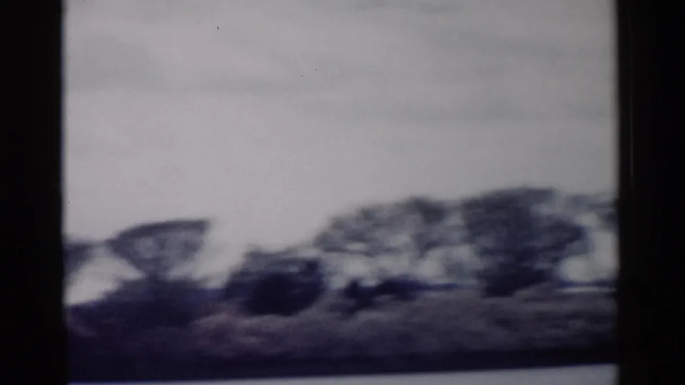 1962 8mm home-movie still showing low vegetation and dark blurred tree shapes during a quick handheld pan.