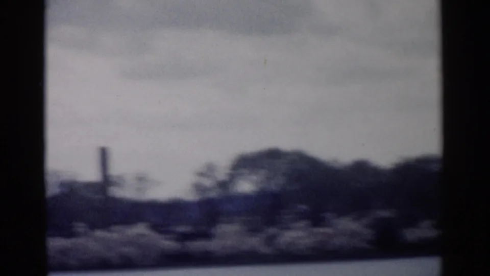 Final 1962 Washington DC 8mm frame with blurred trees, pale sky, and a small vertical post-like shape in the distance.