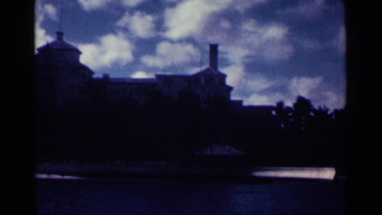 Dark waterfront building silhouette, palms, water, and cloudy blue sky.