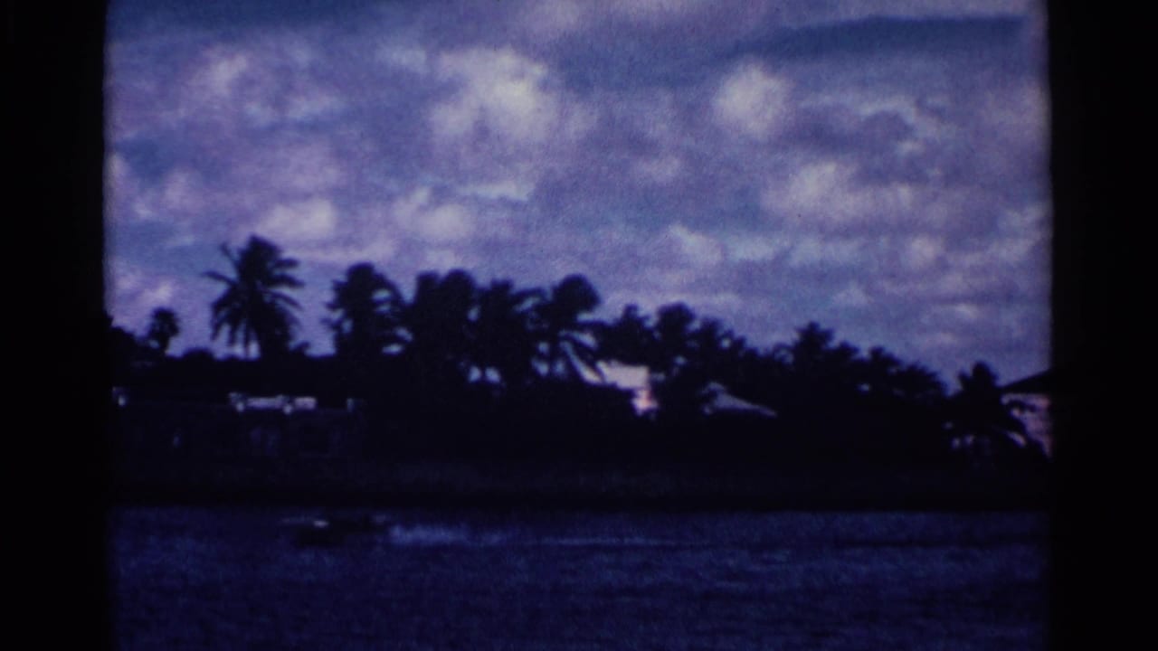 Palm-lined shoreline across dark harbor water under a cloudy sky.