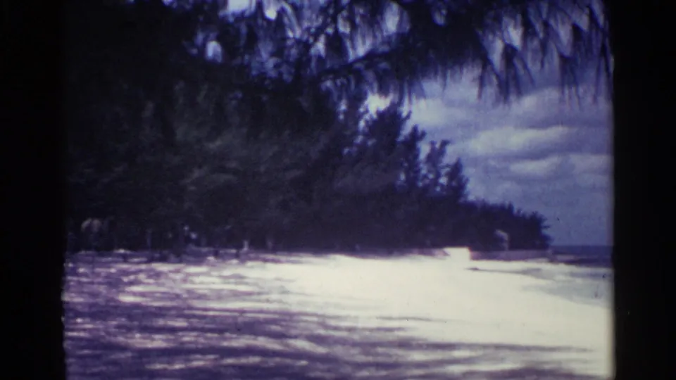 Wide 1963 Nassau beach view with pale sand, bright surf, overhanging palm fronds, and distant shoreline under a blue sky.