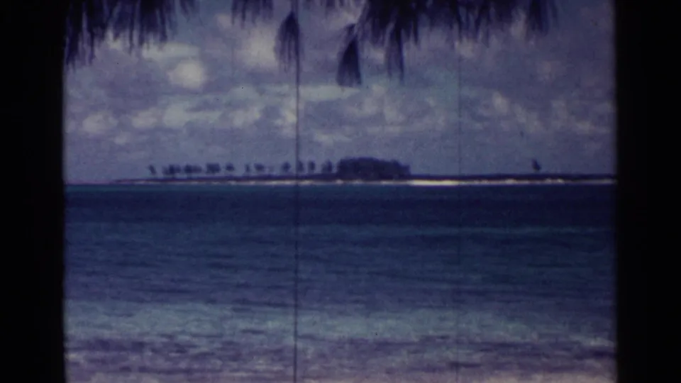 Nassau shoreline view from 1963 showing palm fronds above blue water and a distant island under a cloudy sky.
