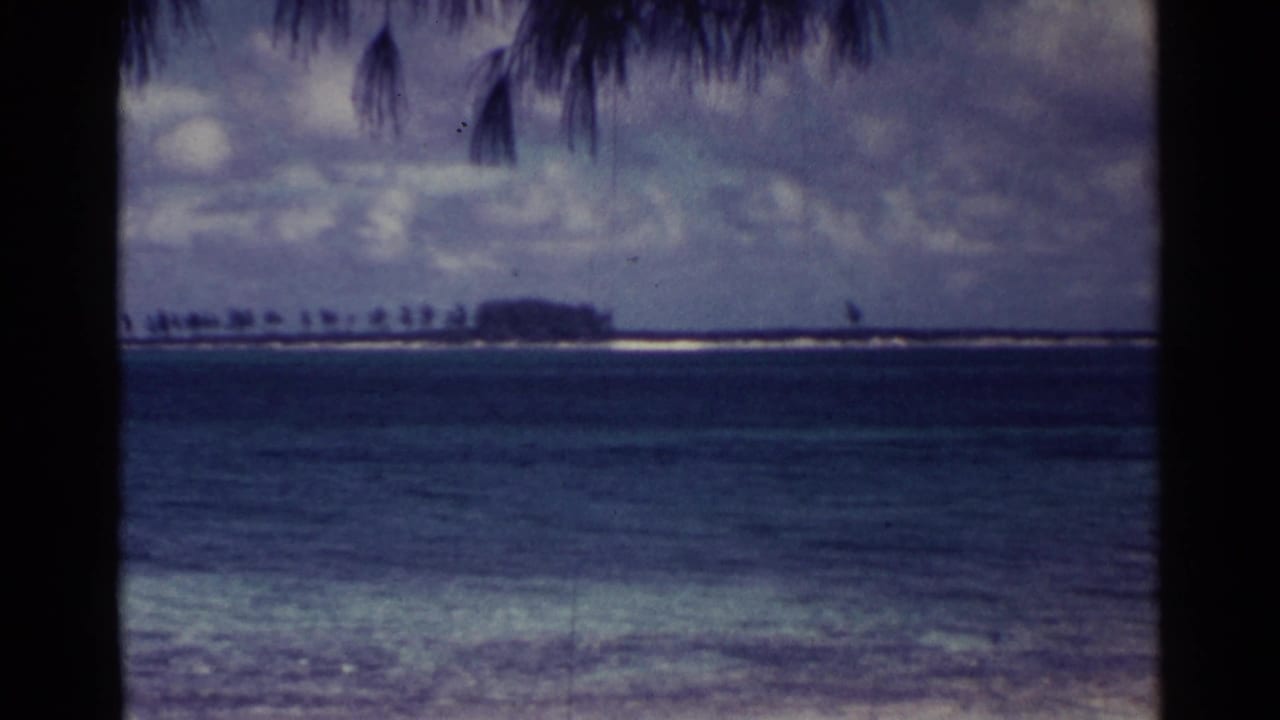 Tropical shoreline with turquoise water, cloudy sky, palm fronds, and a distant low island.