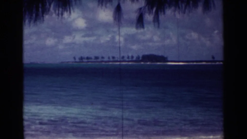 1963 Nassau shoreline view with dark palm fronds at the top of frame, blue-green water, low surf, and a distant sandbar or small island.