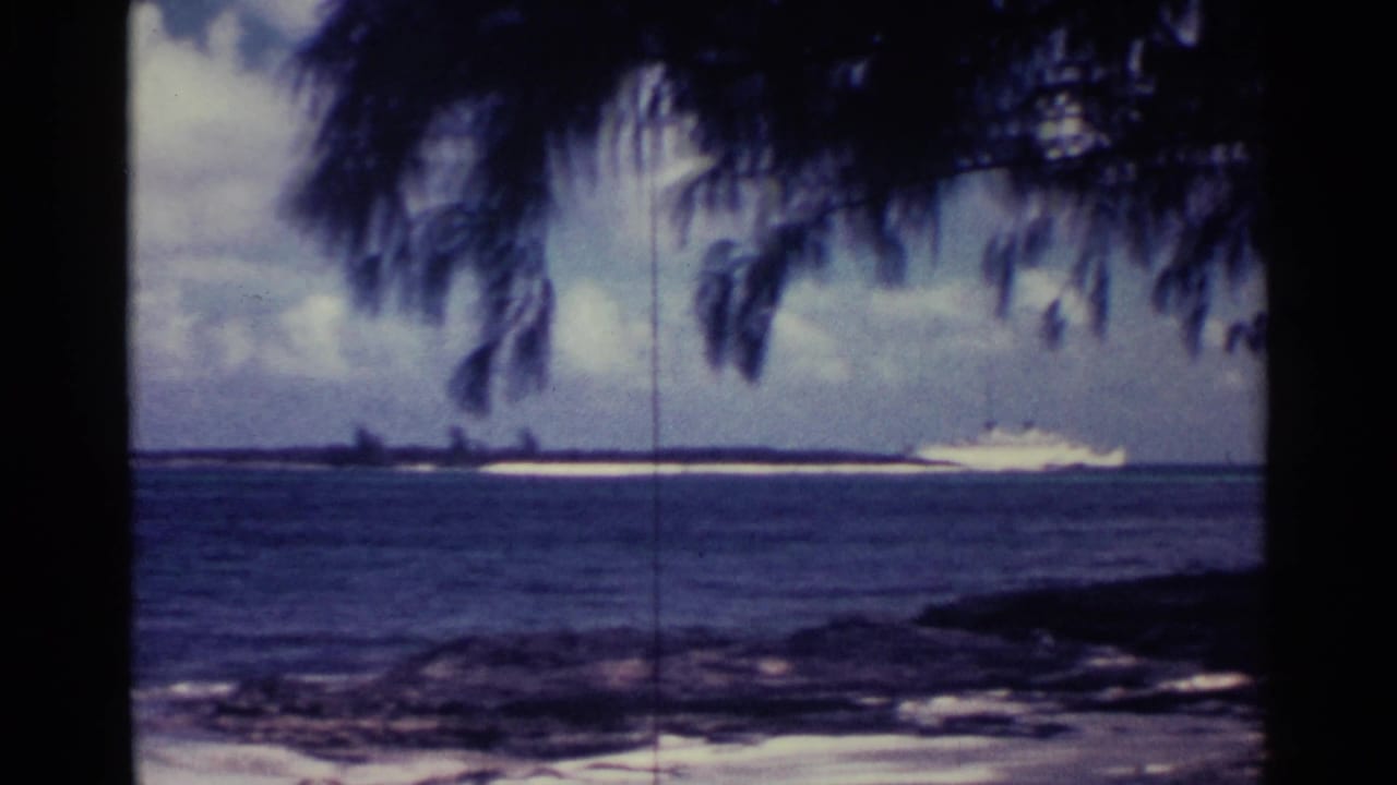 Distant white cruise liner near a low shoreline, partly framed by dark palm fronds.