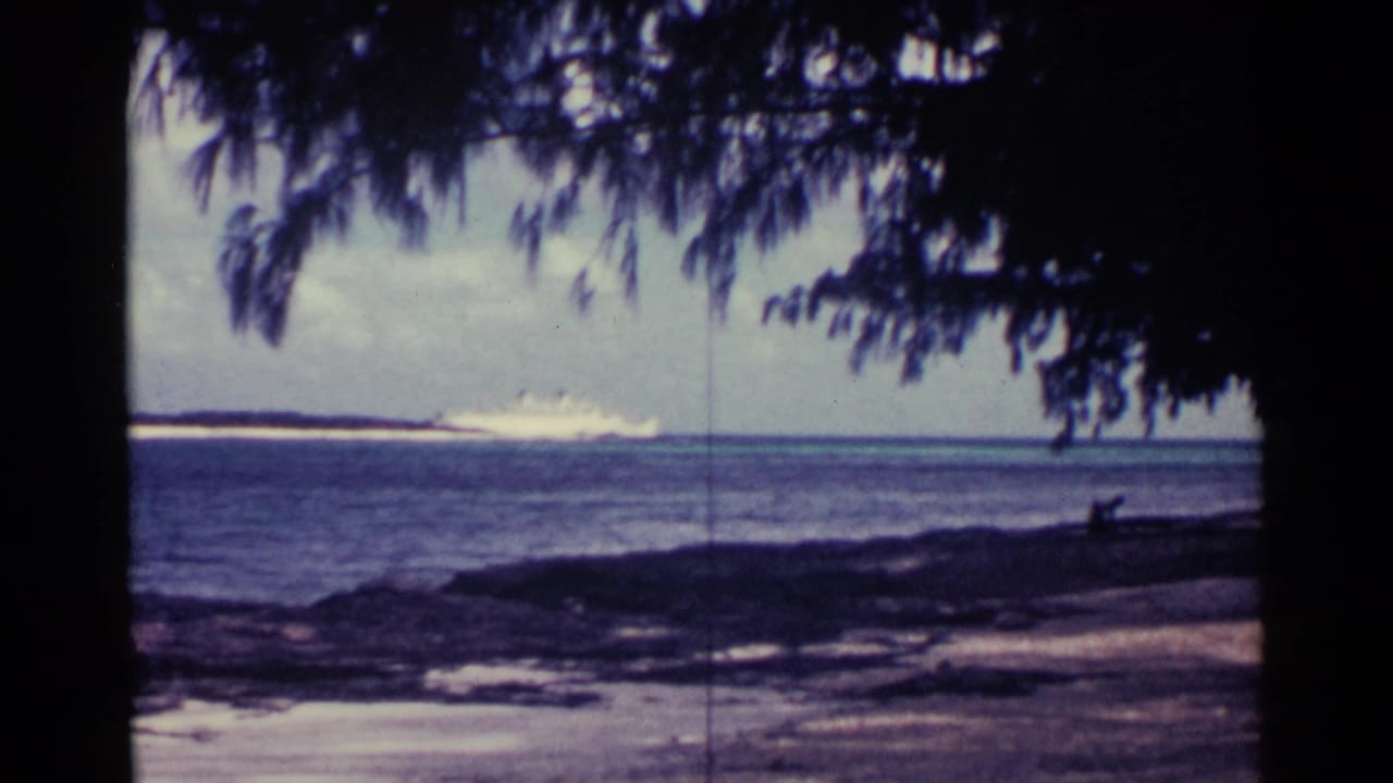 Shaded tropical shoreline with surf, distant land, and a dark tree trunk in the foreground.