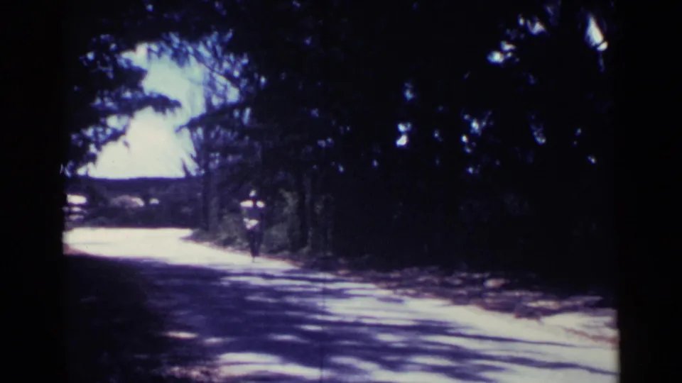The 8mm frame shows a quiet Nassau road under tropical trees, with a bicyclist small in the frame amid alternating light and shade.