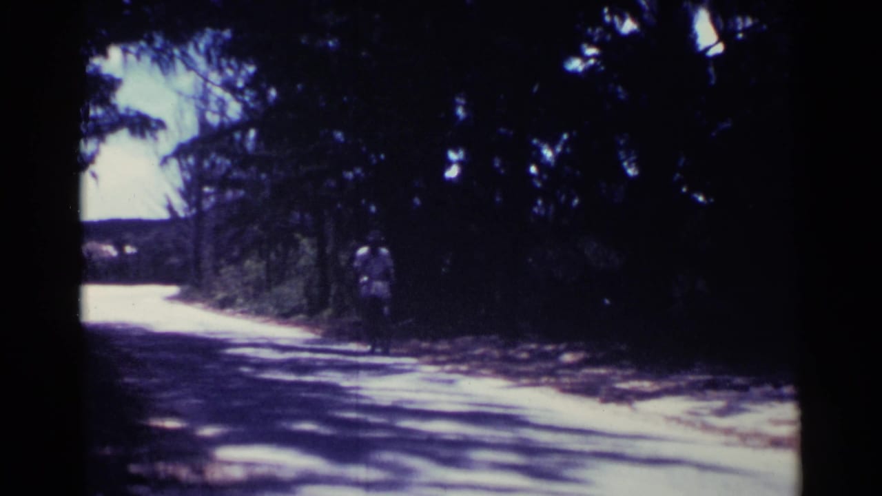 A bicyclist rides away on a shaded road lined with trees.