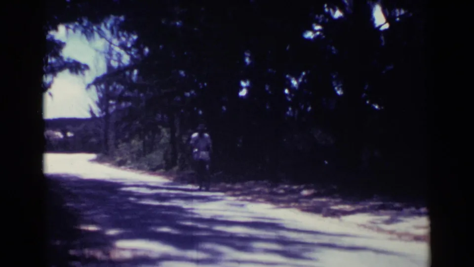 In Nassau, Bahamas in 1963, a bicyclist appears small in the distance on a sunlit rural road bordered by dense trees.