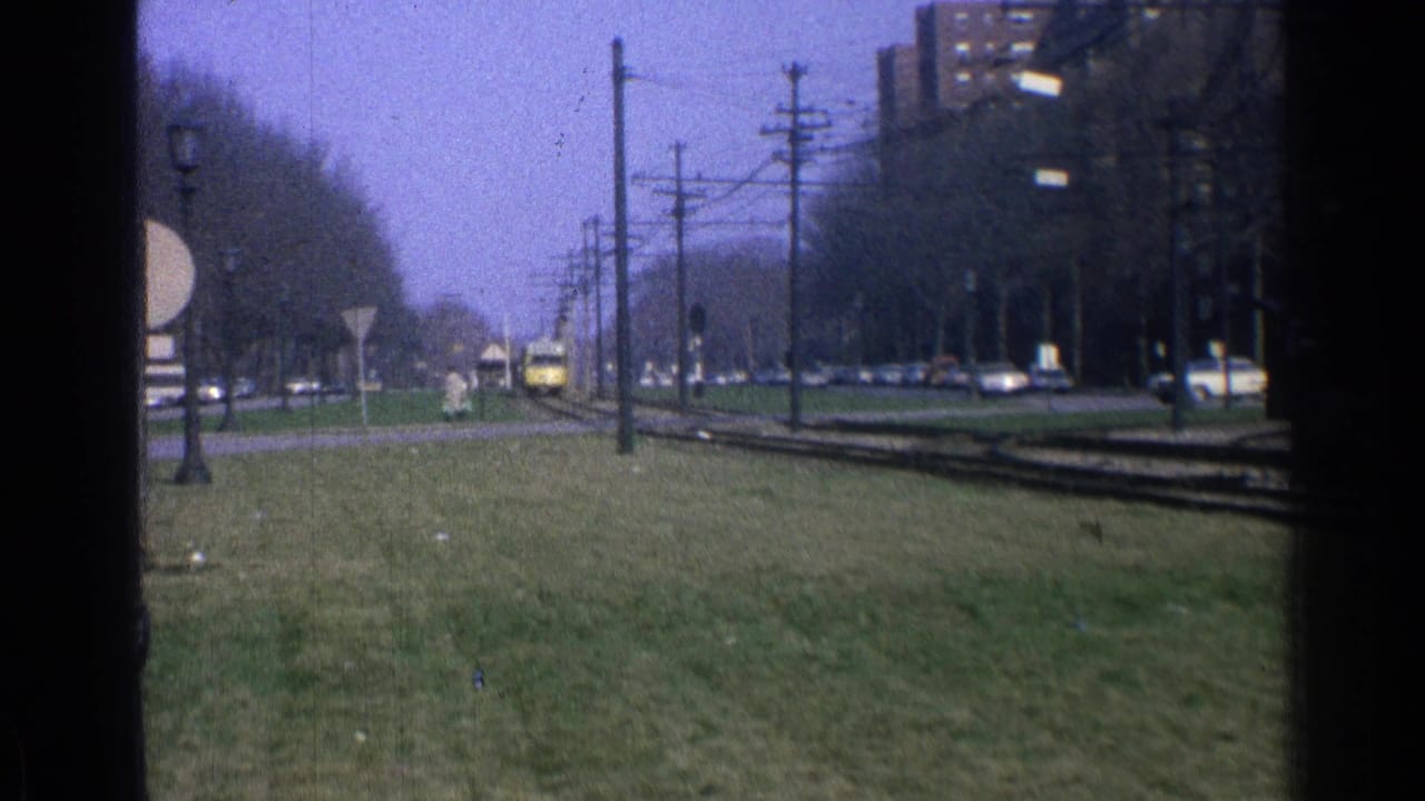 Yellow trolley nears on city tracks with cars and overhead wires nearby.