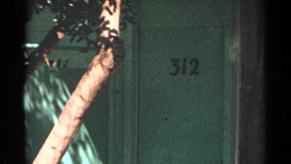 Close view of a green Scottsdale motel door marked 312, partly framed by a tree trunk and dark film-edge border.