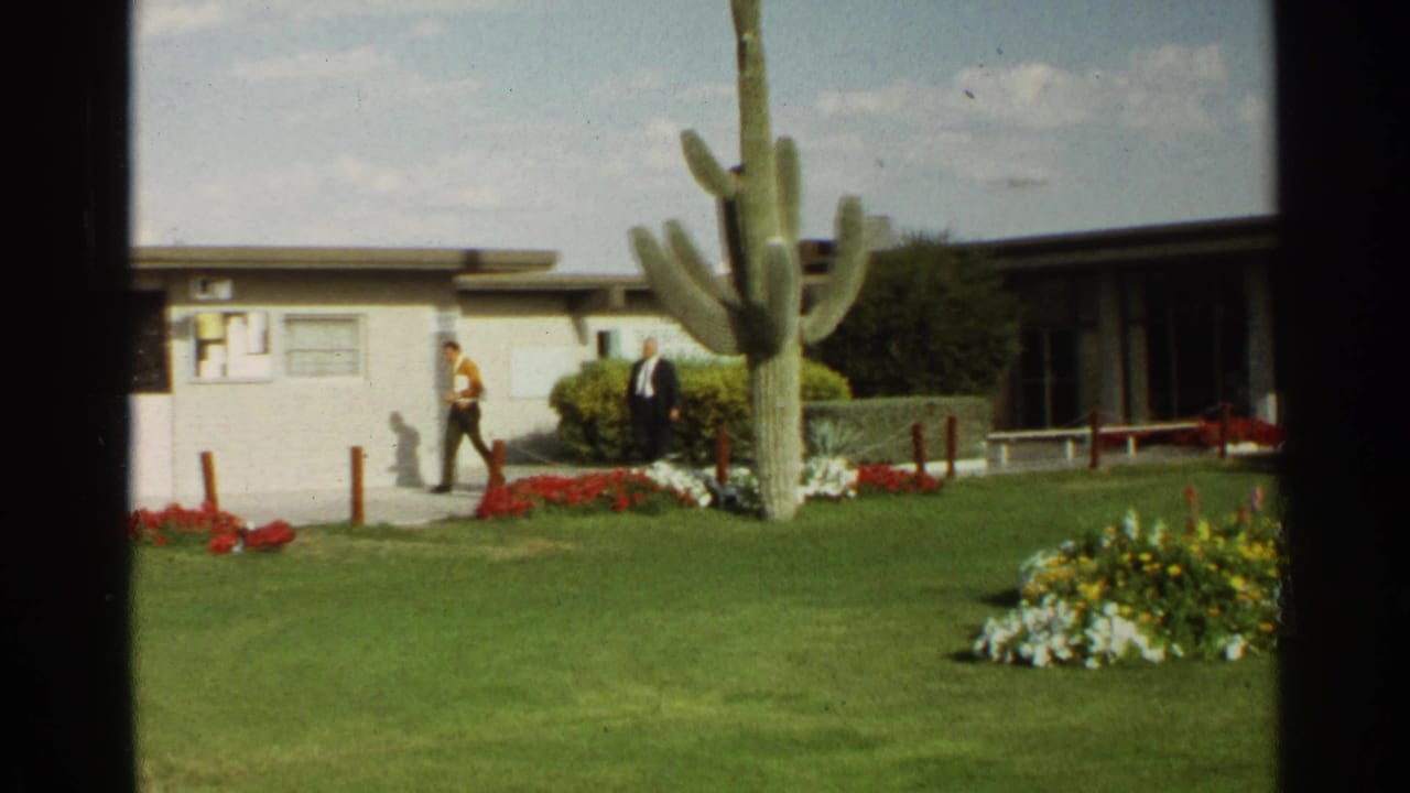 Two men walk near a low building, lawn, flower beds, and a tall saguaro cactus.