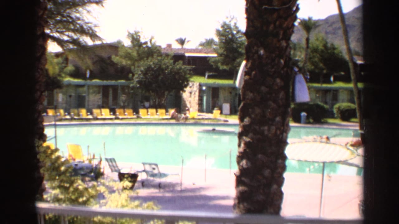 Poolside view framed by palm trunks with yellow lounge chairs and low buildings beyond the water.