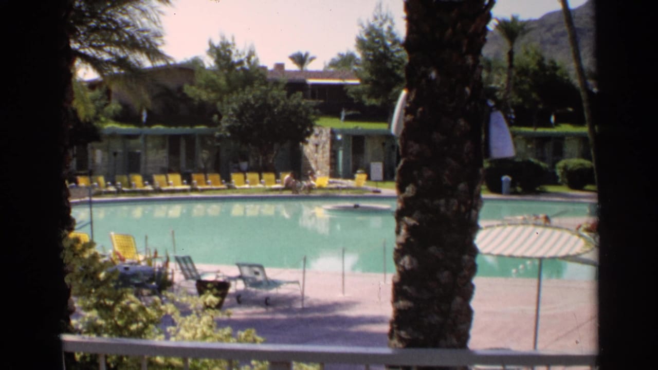 Wide pool view with palm trunks, yellow lounge chairs, patio furniture, and motel-like units in the background.