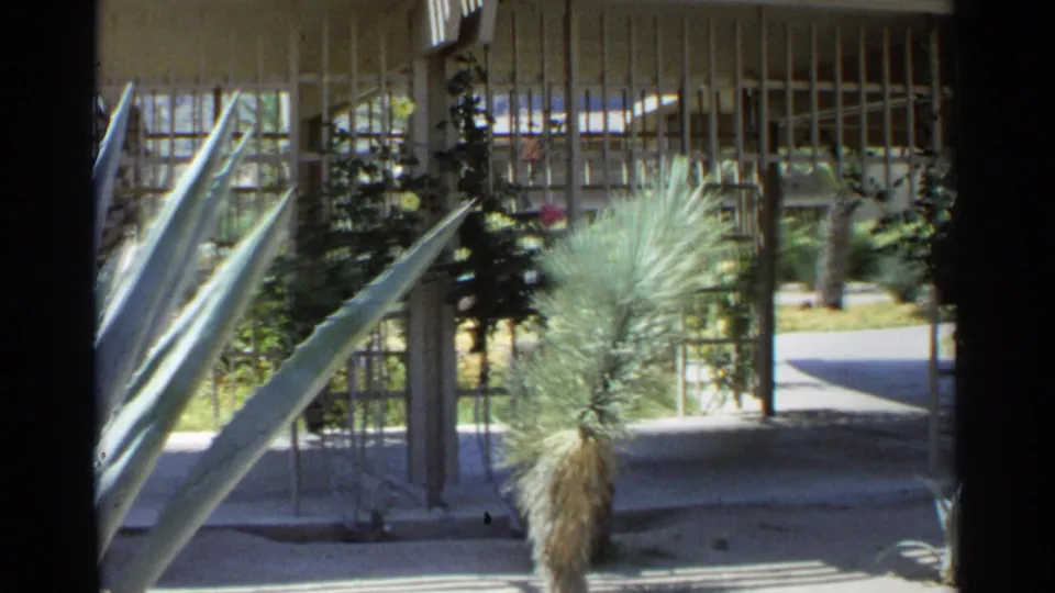 1968 Scottsdale courtyard view with slatted fencing, agave-like plants, shrubs, and a shaded pedestrian walkway.
