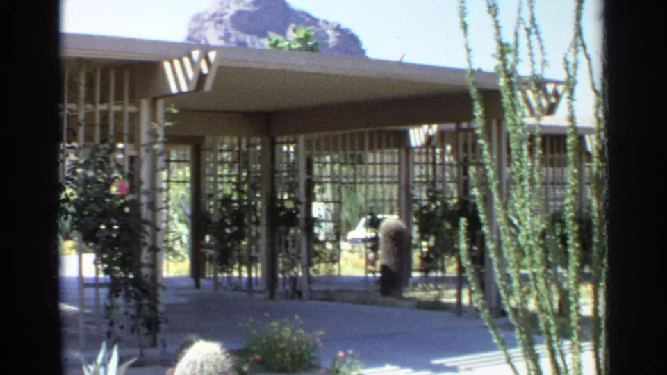 1968 Scottsdale footage frames a mid-century entrance with shade slats, glass panels, cactus plantings, and tall desert stems in front.