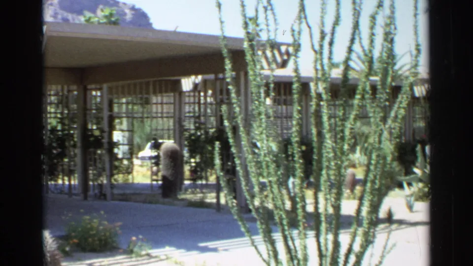 1968 Scottsdale view of tall cactus stems, a covered modernist entry, glass walls, flowering plants, and a distant person near the walkway.
