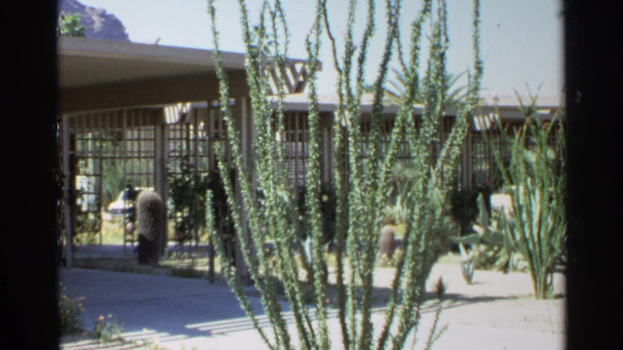 Desert garden seen through a dark window frame with ocotillo, cactus, patio shade, and a low house behind.