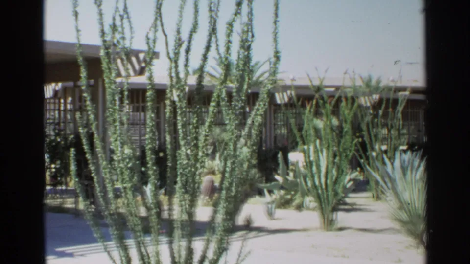 Scottsdale, Arizona garden view from 1968, with tall ocotillo, cactus beds, lattice shade, and a low residential exterior.