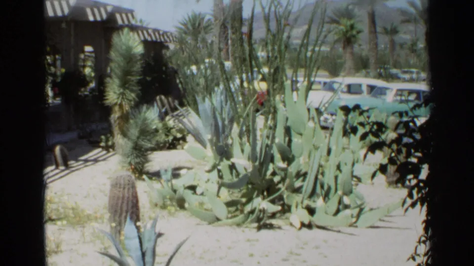 1968 Scottsdale frame showing agave, cactus, a shaded patio edge, parked period cars, and distant mountains beyond the garden.