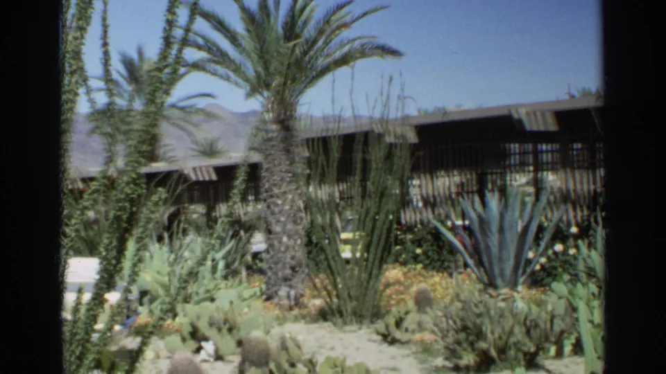 Scottsdale, Arizona garden frame showing palms, cactus, agaves, sandy paths, a shaded building, and a mountain skyline.