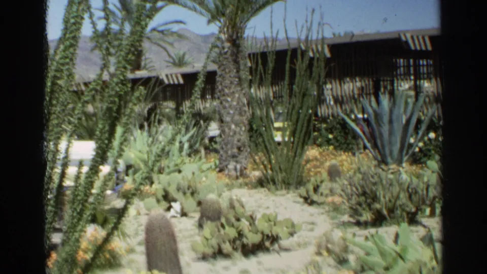 Handheld 8mm view of a Scottsdale desert garden with barrel-like cacti, prickly pear pads, agaves, palms, and a mid-century building.
