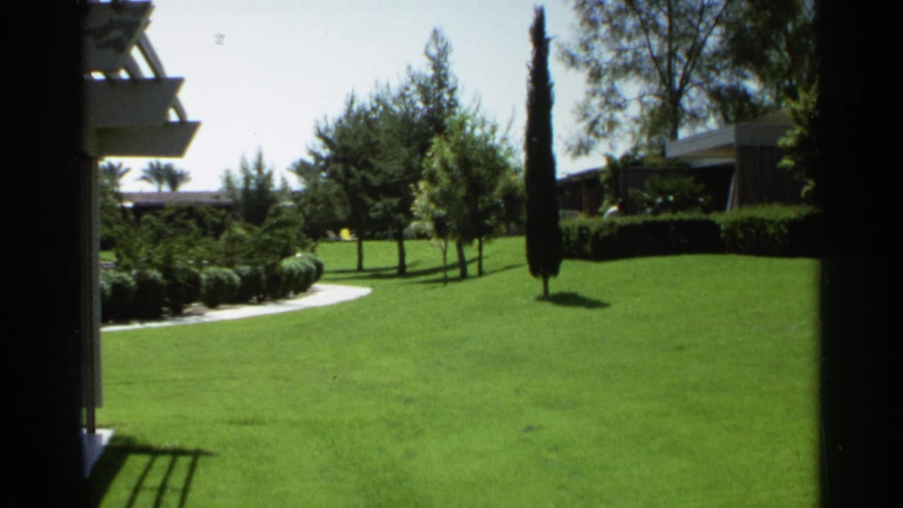 Green lawn with hedges, trees, and low buildings in bright sun.